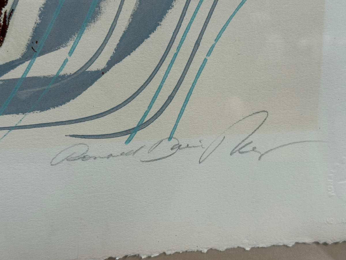 Abstract Feathers Canadian Artist- Ronald David Thompson Print Signed - 19" x 19"